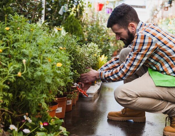 Horticulture Services